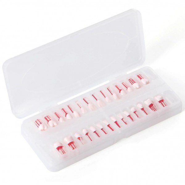 28個/セット 歯科用タイポドント歯 根管治療練習モデル 28個/セット 歯科用タイポドント歯 根管治療練習モデル