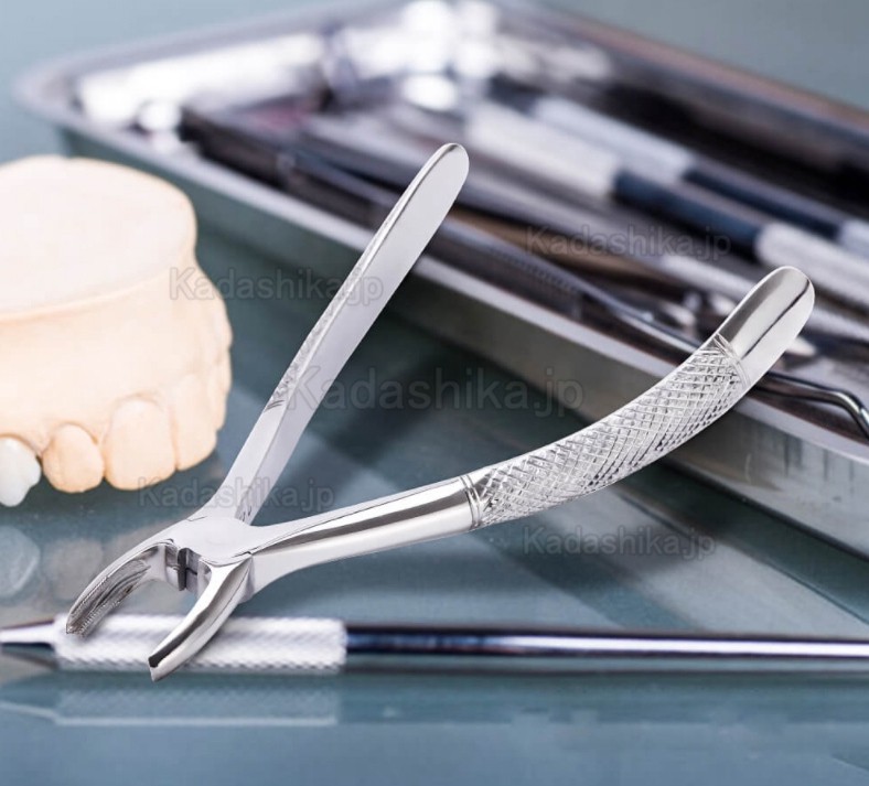 10 個/セット 歯科抜歯鉗子 歯科プライヤー 歯科手術用抜歯器具