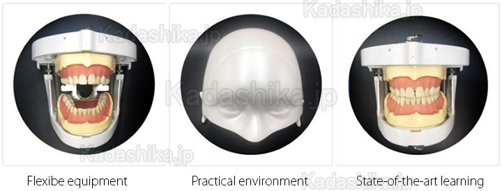 Jingle JG-A1 歯科シミュレーター 練習用マネキン(KAVO/frasaco/ニッシン 顎模型と互換)
