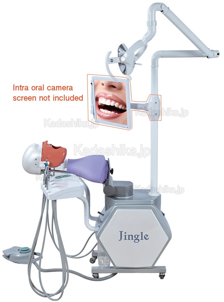 Jingle JG-A11 歯科シミュレーター マネキン・シミュレター (KAVO/frasaco/ニッシン 顎模型と互換)