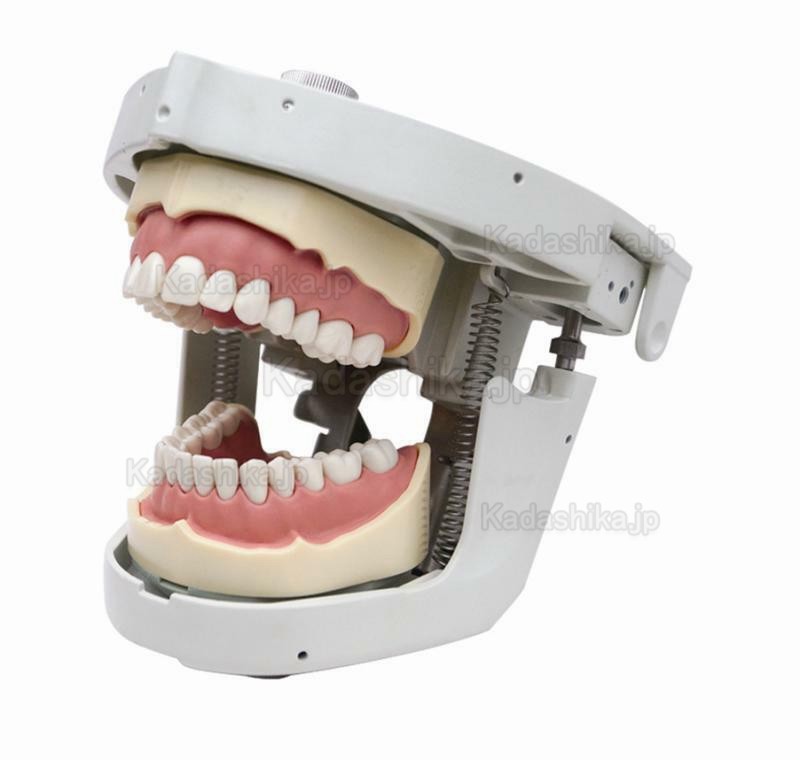 Jingle JG-C4 歯科ファントム 歯科チェアに取り付ける (Frasaco/ニッシンとコンパチブル)