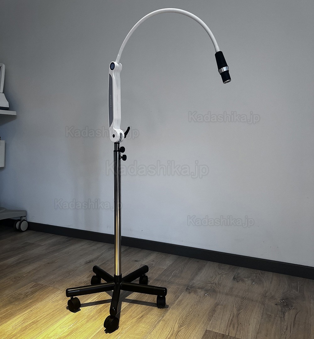 KWS KD-2005W-4 LED歯科検査ライト、リモコン付き調整可能手術灯